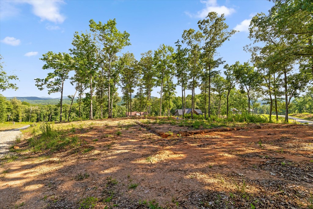 Lot 85 Split Creek Road Morganton, GA 30560 - Photo 6 of 23