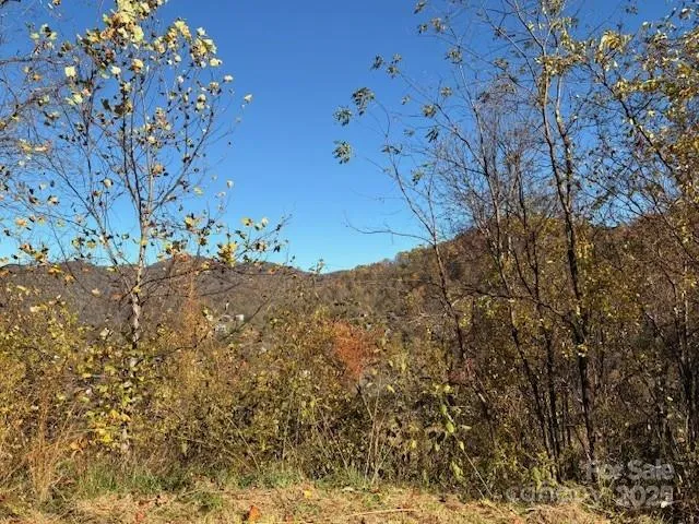 $89,900 | Lot 4 March Hillside Court, Waynesville, NC 28785