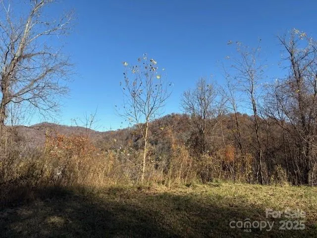 $89,900 | Lot 4 March Hillside Court, Waynesville, NC 28785