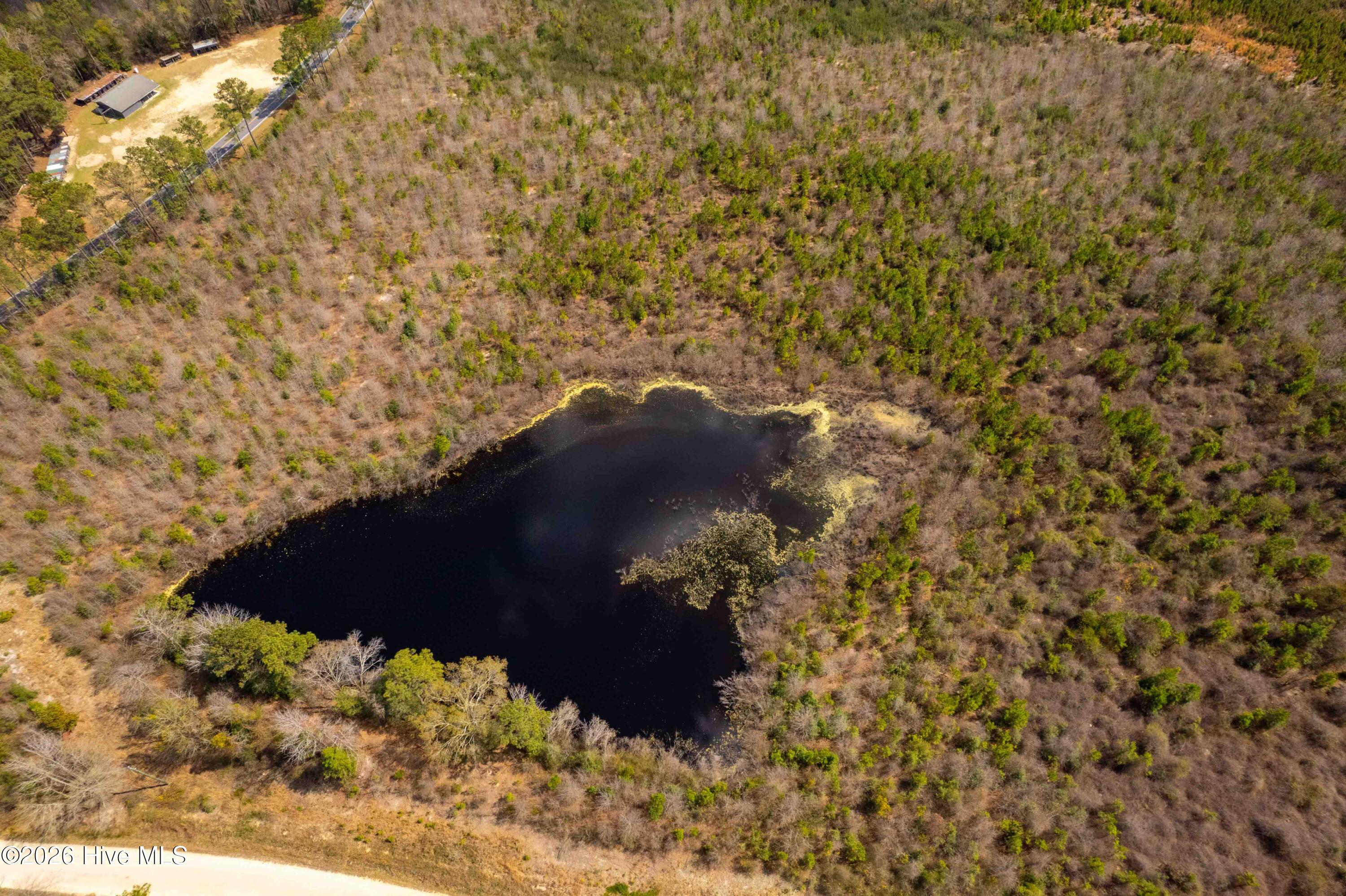 0 Devane Farm Road Harrells, NC 28444 - Photo 28 of 36
