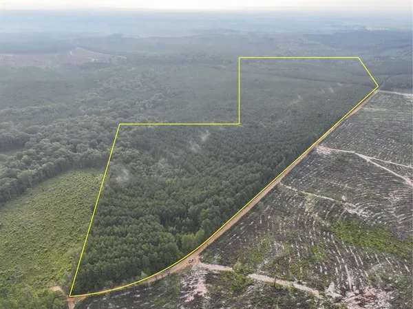 $382,500 | 2 Red Rock Road, Robeline, LA 71469