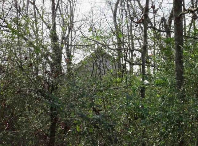 374 Nelson Lake Road Southwest Calhoun, GA 30701 - Photo 1 of 1 Gallery Image 1