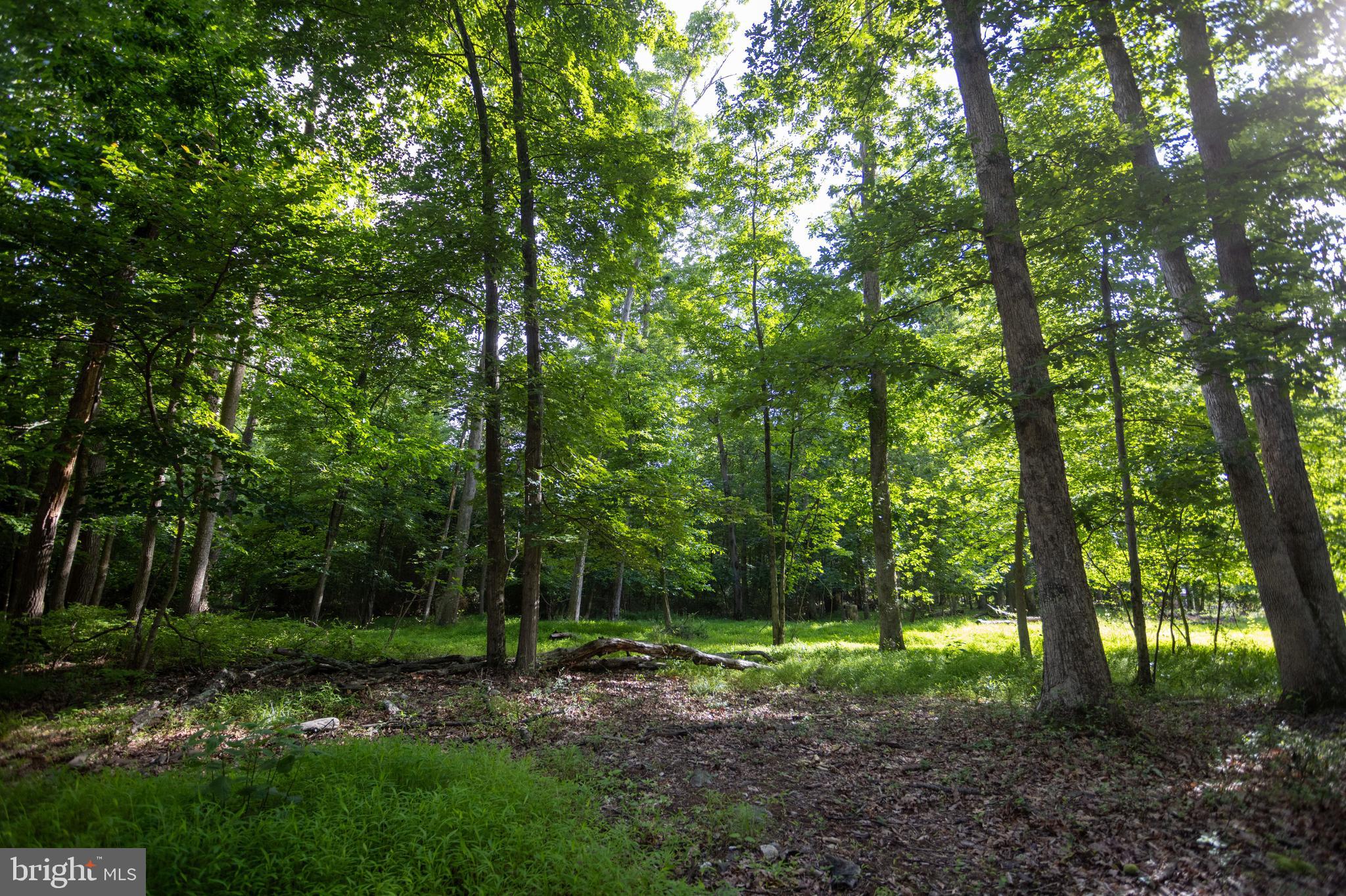 110 Cold Springs Road Carlisle, PA 17015 - Photo 17 of 25
