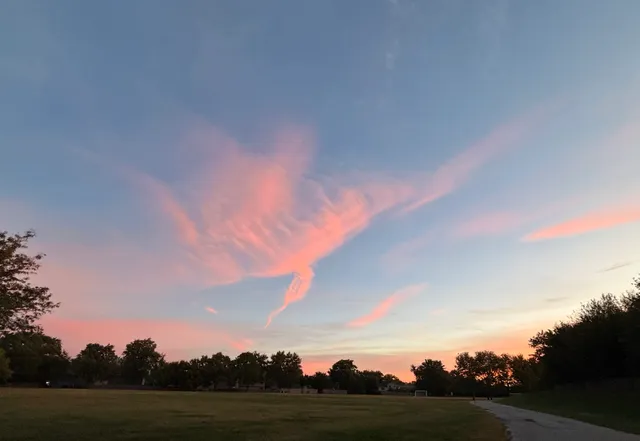 a view of a house with a flower garden