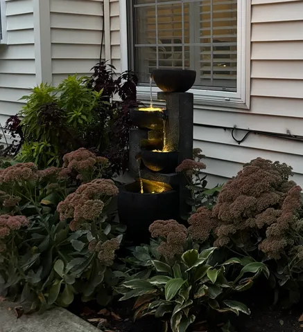 a view of a backyard with plants
