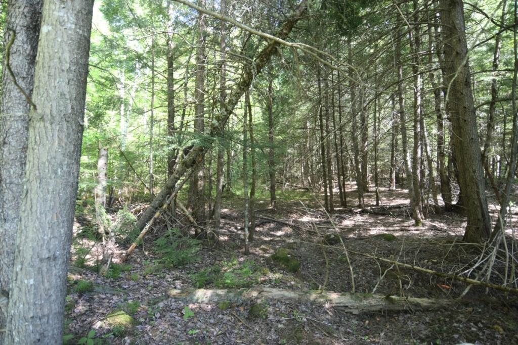 82 Halls Bridge Road Canaan, ME 04924 - Photo 26 of 29 Second lot