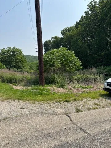 a view of a yard with plants