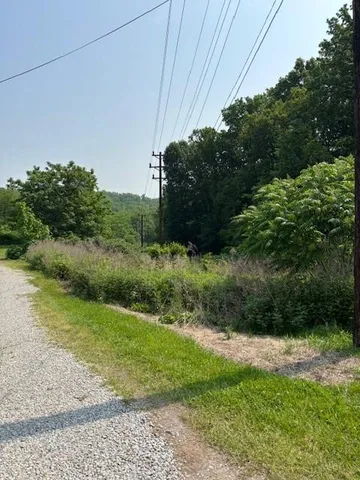 a view of a back yard