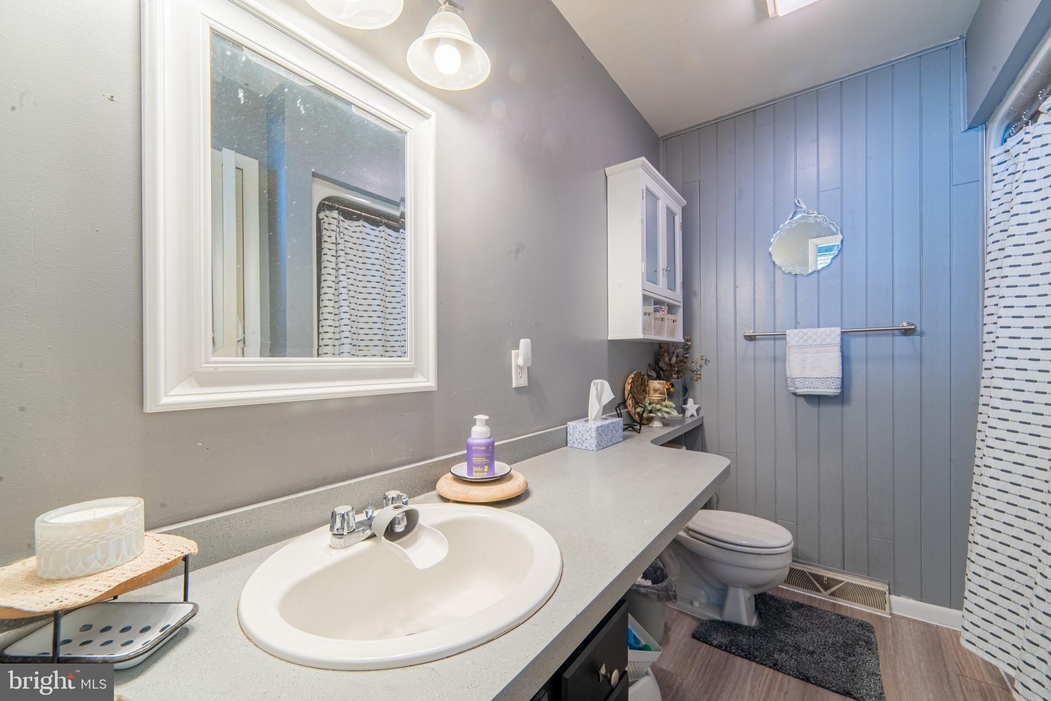 49 Husted Station Road Bridgeton, NJ 08302 - Photo 19 of 33 a bathroom with a toilet a sink and a mirror