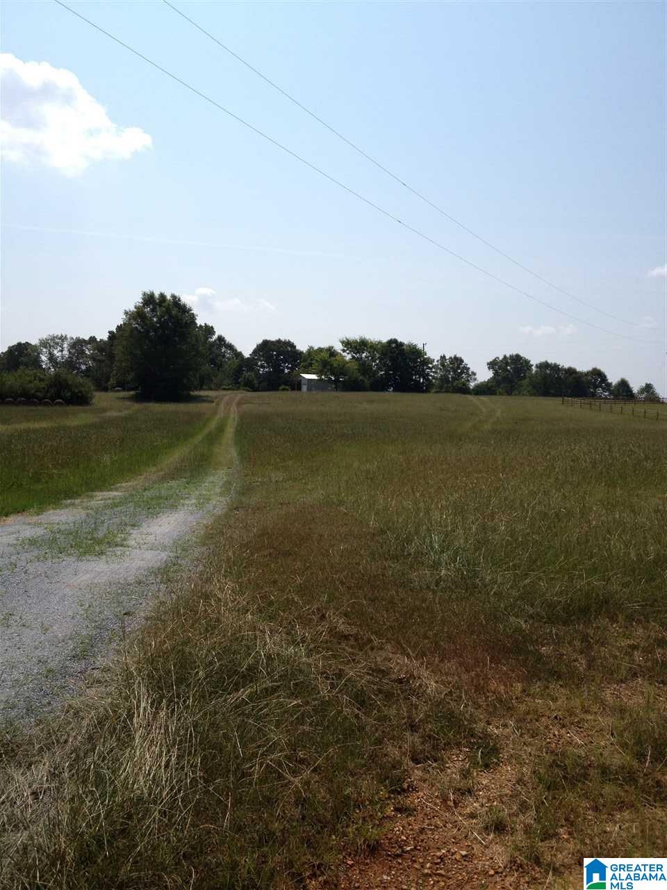 0 Grist Mill Road, Unit 1 Childersburg, AL 35044 - Photo 5 of 5