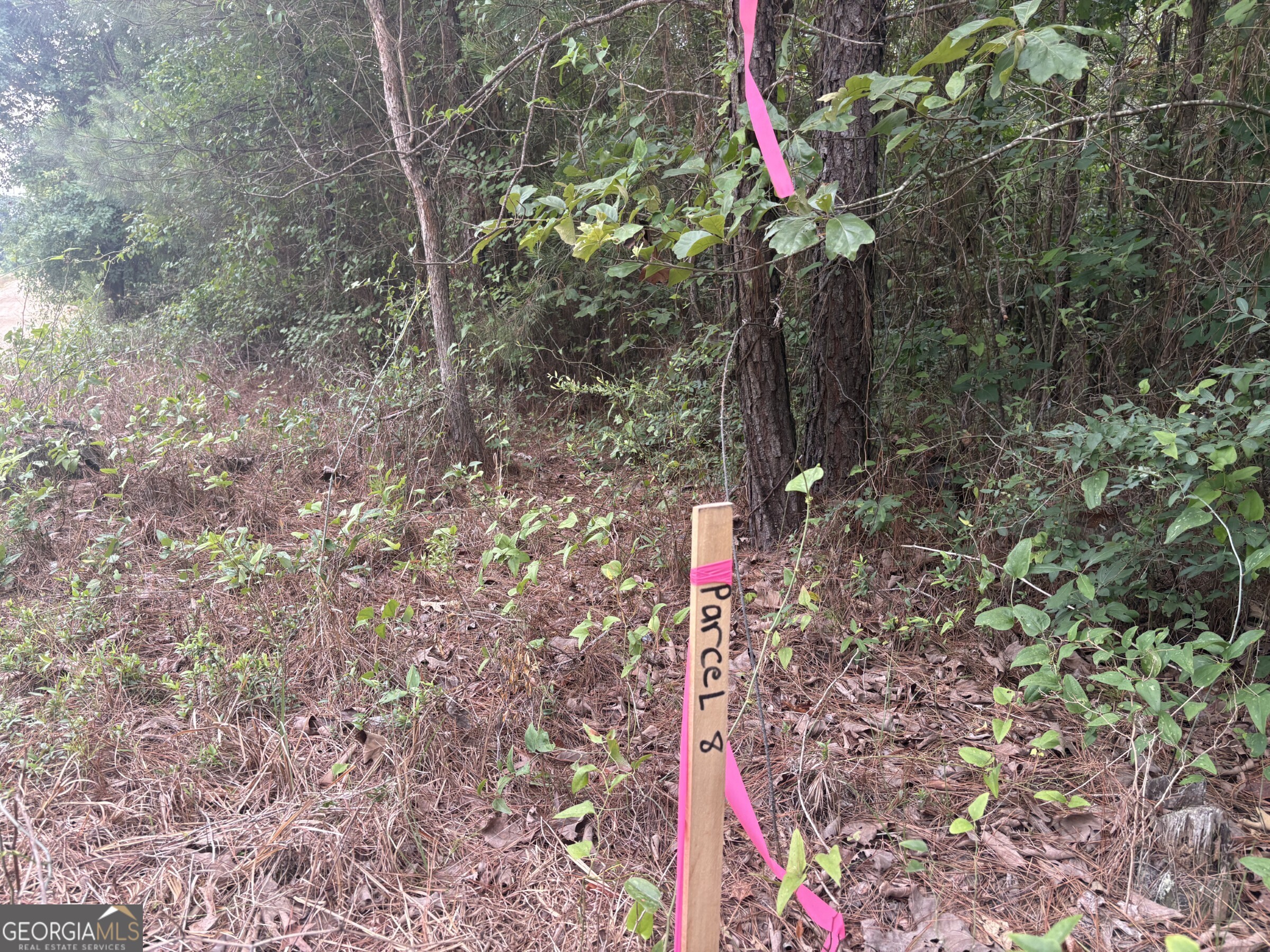 L9 North Indian Trail Road Sandersville, GA 31082 - Photo 16 of 19