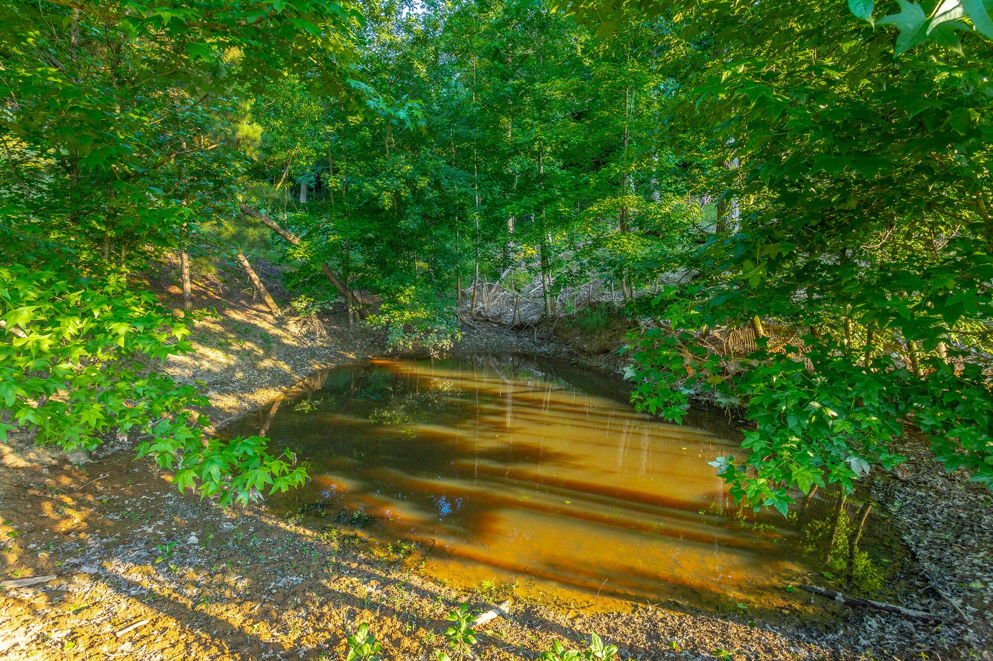 1240 Goose Pond Road Whitwell, TN 37397 - Photo 92 of 100 Gallery Image 92