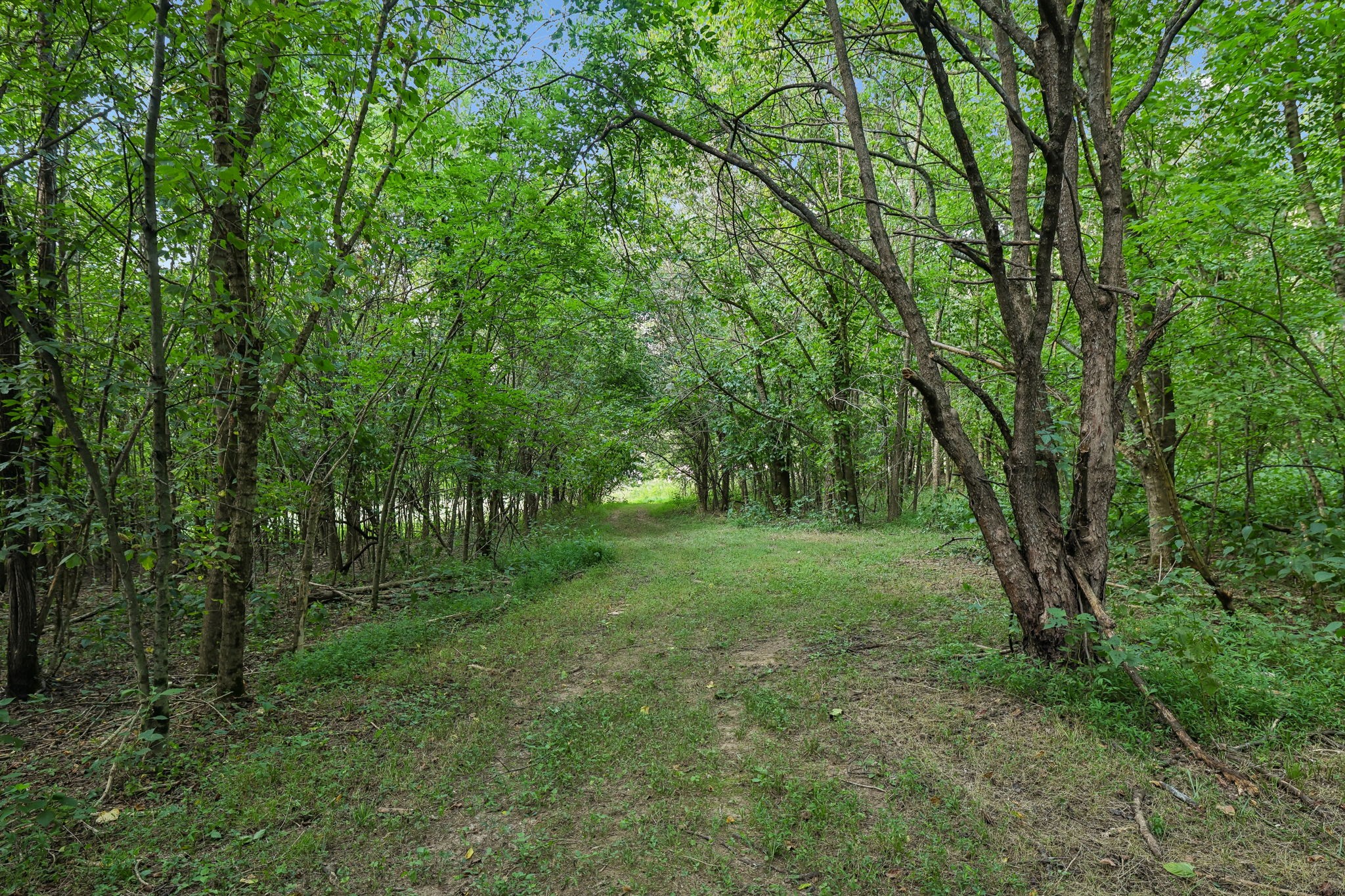 21 Vantrease Road Brush Creek, TN 38547 - Photo 88 of 98 Gallery Image 88