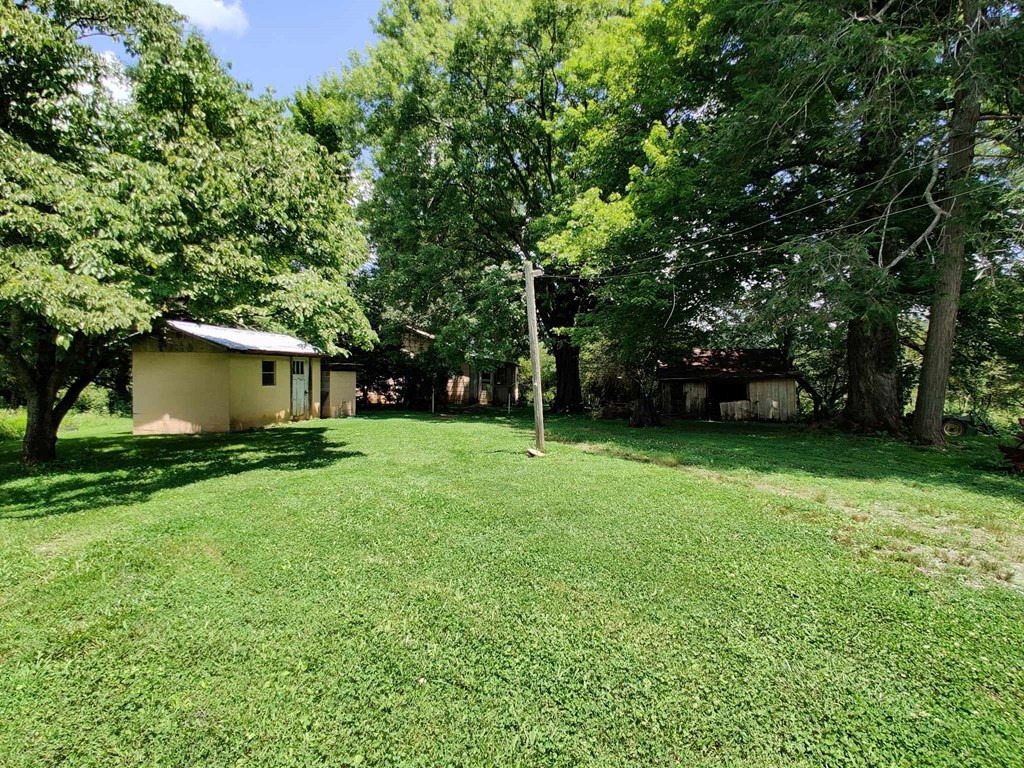161 Tom Henry Road Townsend, TN 37882 - Photo 22 of 26