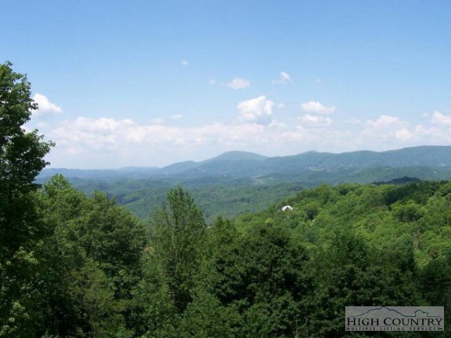 685 Nettles Ridge Road Banner Elk, NC 28604 - Photo 10 of 10 Gallery Image 10