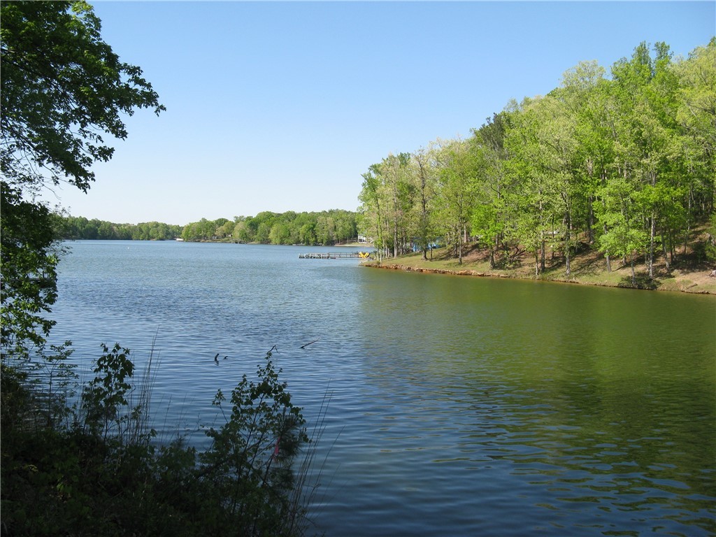 Lot 2 Mobleys Bluff Road Abbeville, SC 29620 - Photo 1 of 3 Gallery Image 1