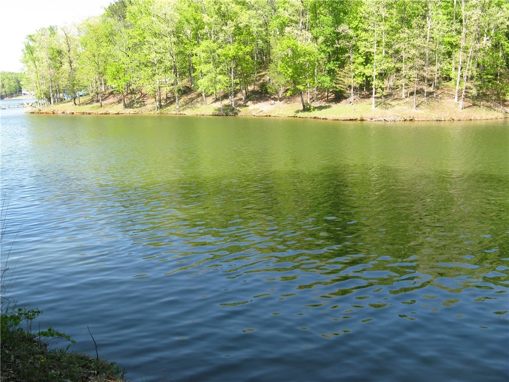 Lot 2 Mobleys Bluff Road Abbeville, SC 29620 - Photo 2 of 3 Gallery Image 2