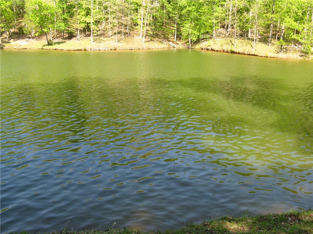 Lot 2 Mobleys Bluff Road Abbeville, SC 29620 - Photo 3 of 3 Gallery Image 3