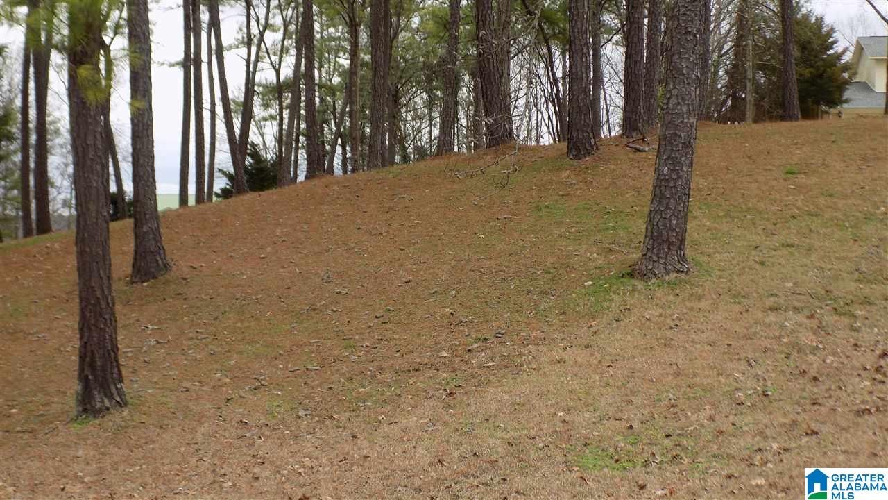 Xx Lister Ferry Road, Unit XX Rainbow City, AL 35906 - Photo 14 of 15