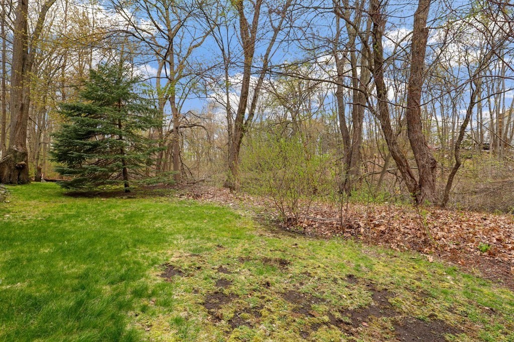 10 Maple Ridge Drive, Unit 10 Burlington, MA 01803 - Photo 35 of 37 Gallery Image 35