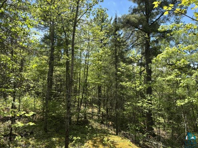 5049 Big Lake Road Ely, MN 55731 - Photo 11 of 14