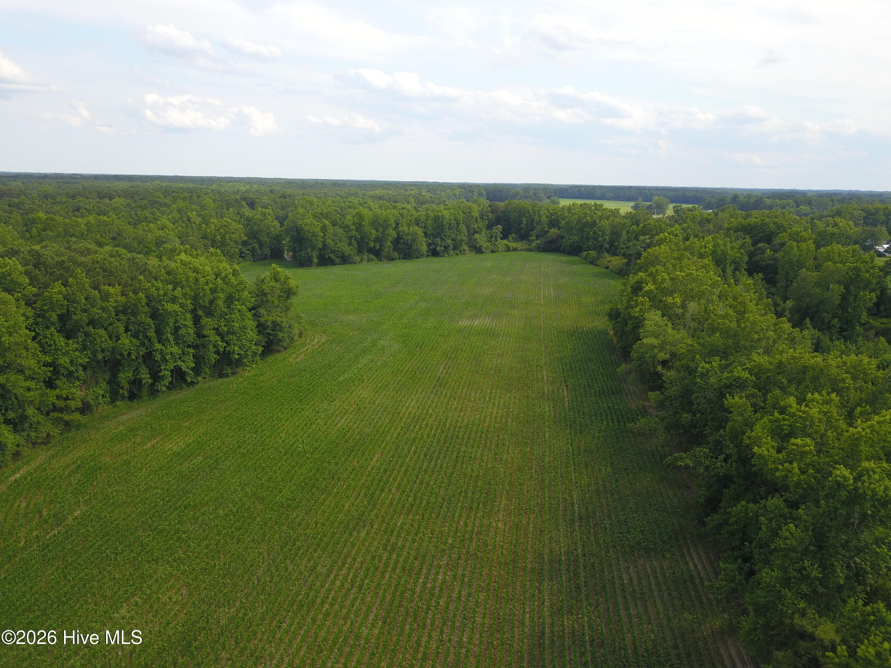 1817 Off S/ Road South Chinquapin, NC 28521 - Photo 4 of 10