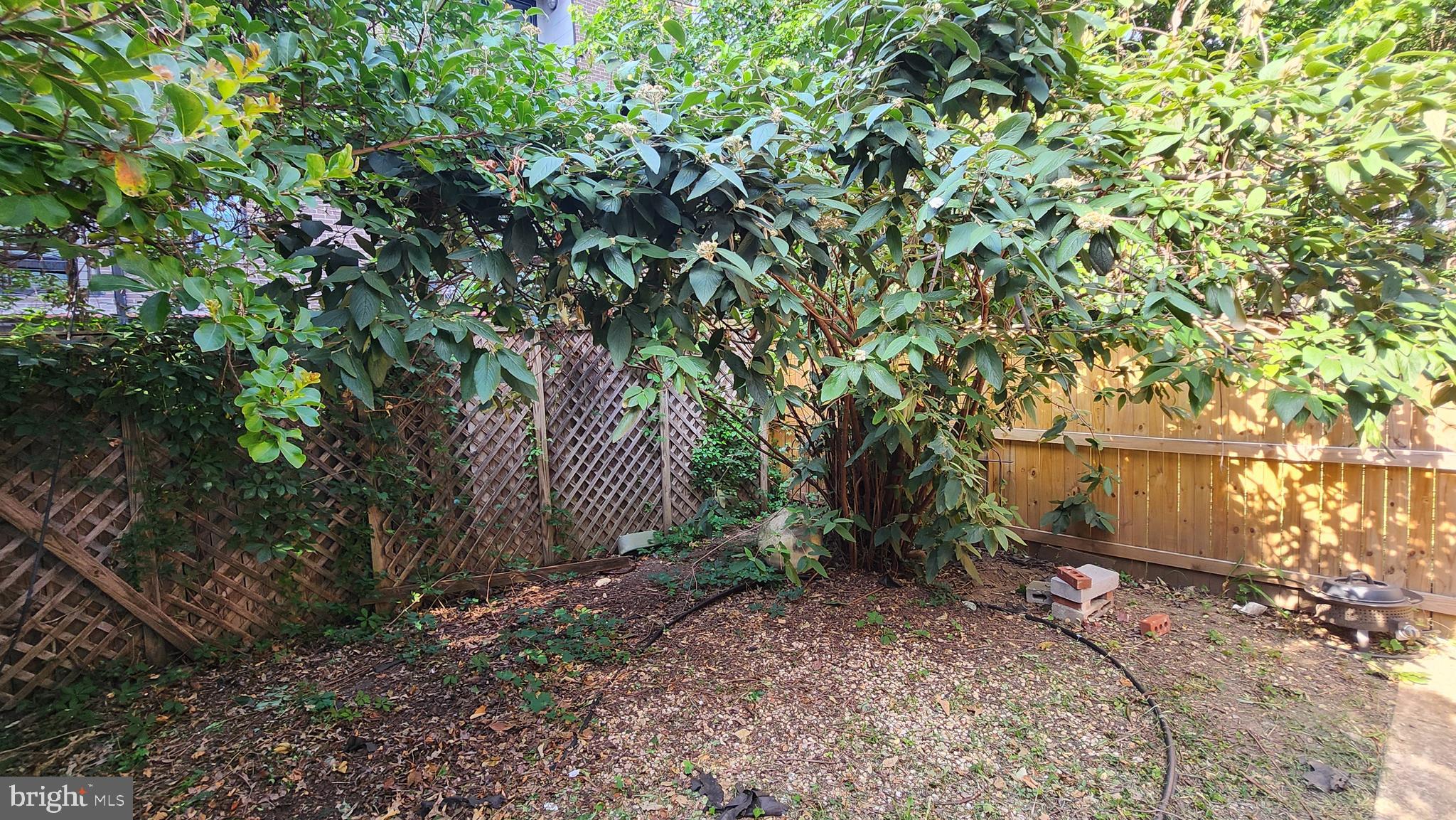 459 M Street Northwest, Unit C Washington, DC 20001 - Photo 7 of 8 a backyard of a house with lots of green space