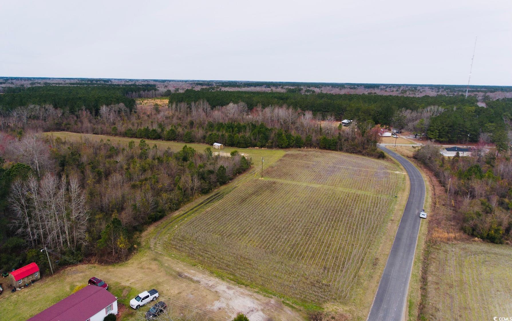 3105 Cash Road Johnsonville, SC 29555 - Photo 7 of 10 Gallery Image 7