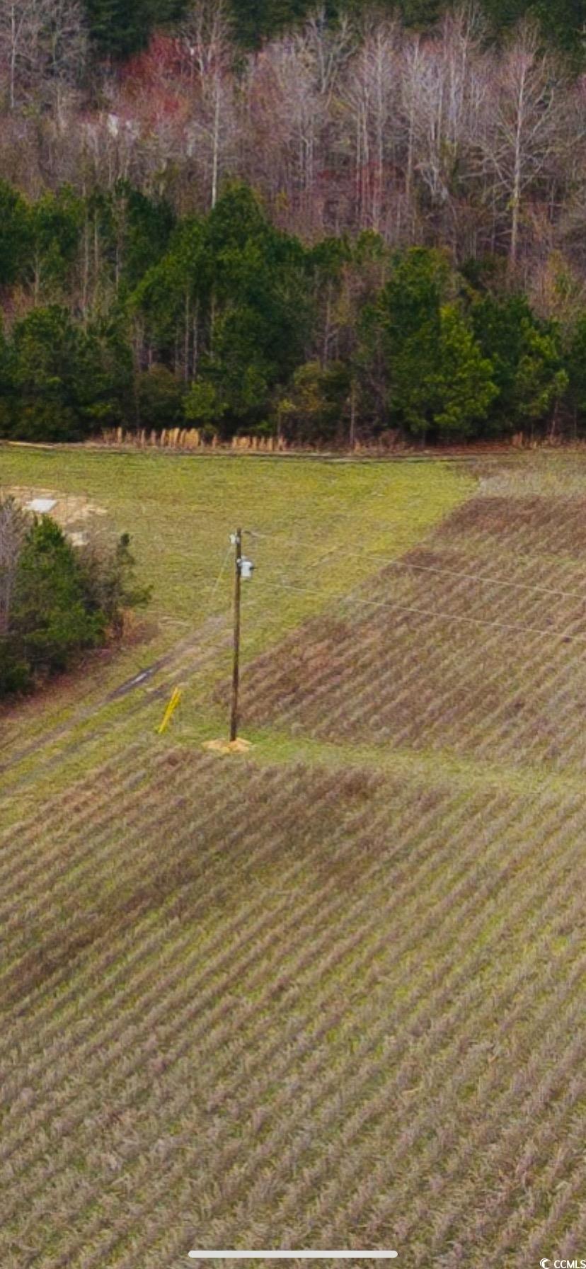 3105 Cash Road Johnsonville, SC 29555 - Photo 10 of 10 Gallery Image 10