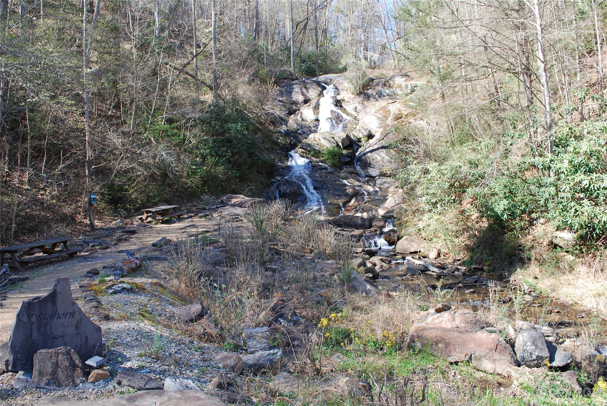 Tbd Pepper Bush Road Purlear, NC 28665 - Photo 12 of 22