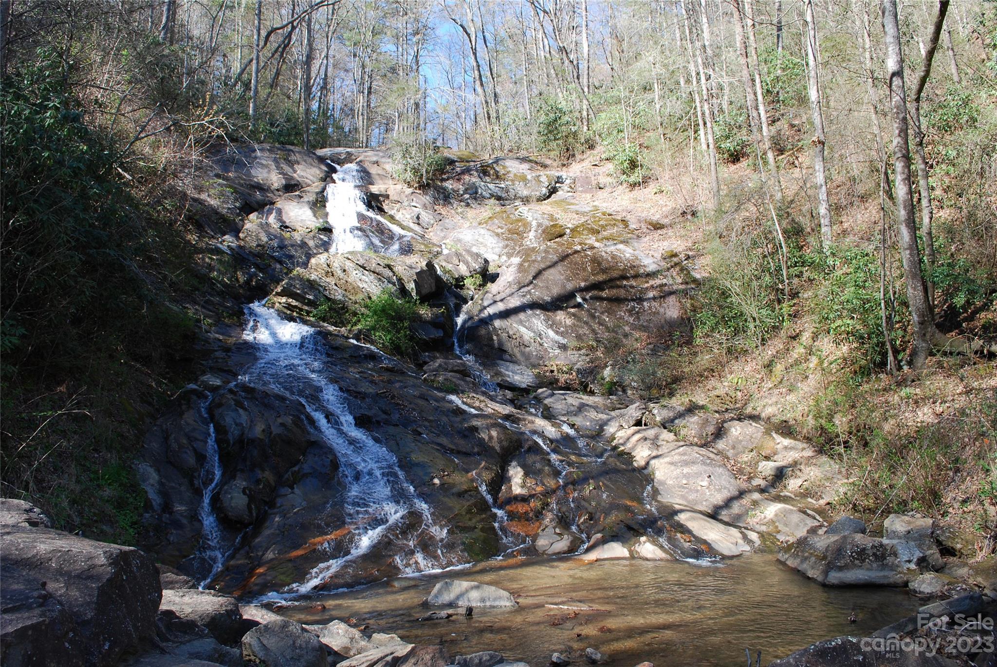 Tbd Pepper Bush Road Purlear, NC 28665 - Photo 13 of 22 a view of a yard with plants