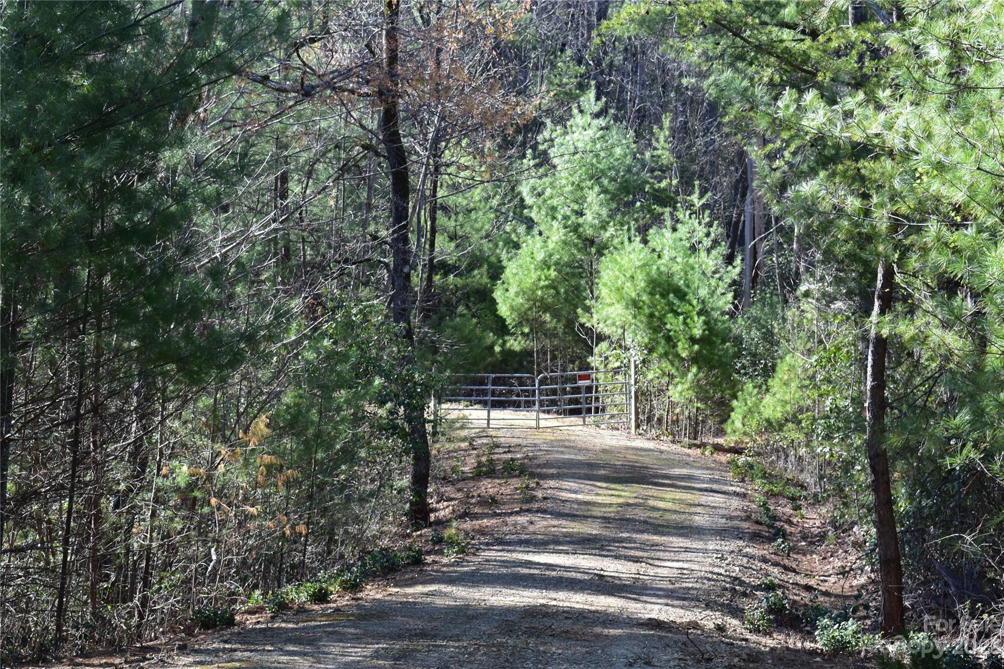 Tbd Pepper Bush Road Purlear, NC 28665 - Photo 2 of 22 a view of a backyard with trees