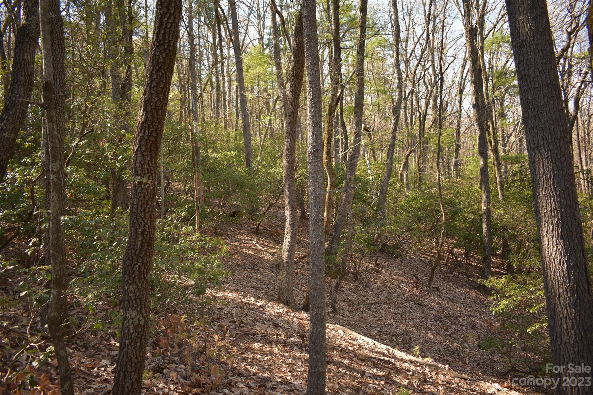 Tbd Pepper Bush Road Purlear, NC 28665 - Photo 5 of 22 a view of a bathroom with small space