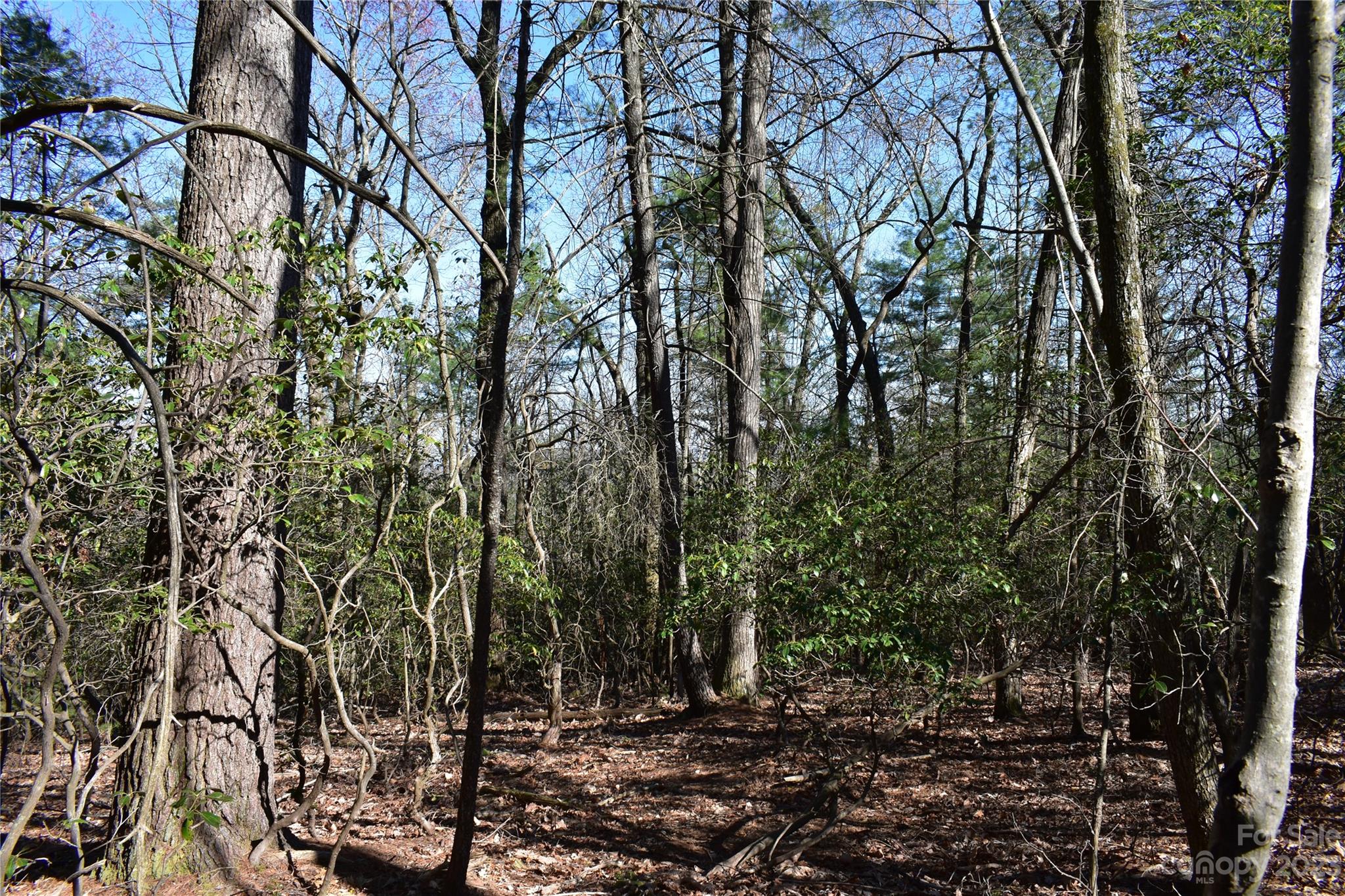 Tbd Pepper Bush Road Purlear, NC 28665 - Photo 8 of 22 a view of outdoor space