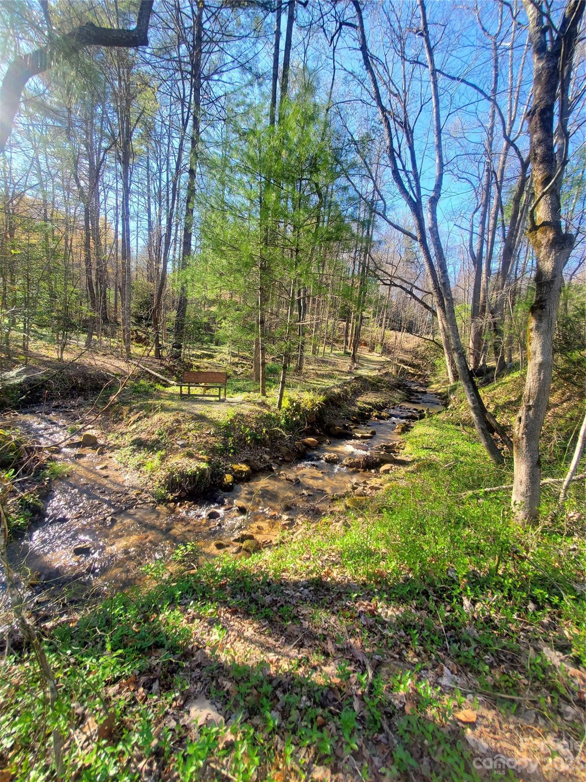 Tbd Pepper Bush Road Purlear, NC 28665 - Photo 10 of 22 a view of a yard with plants and trees