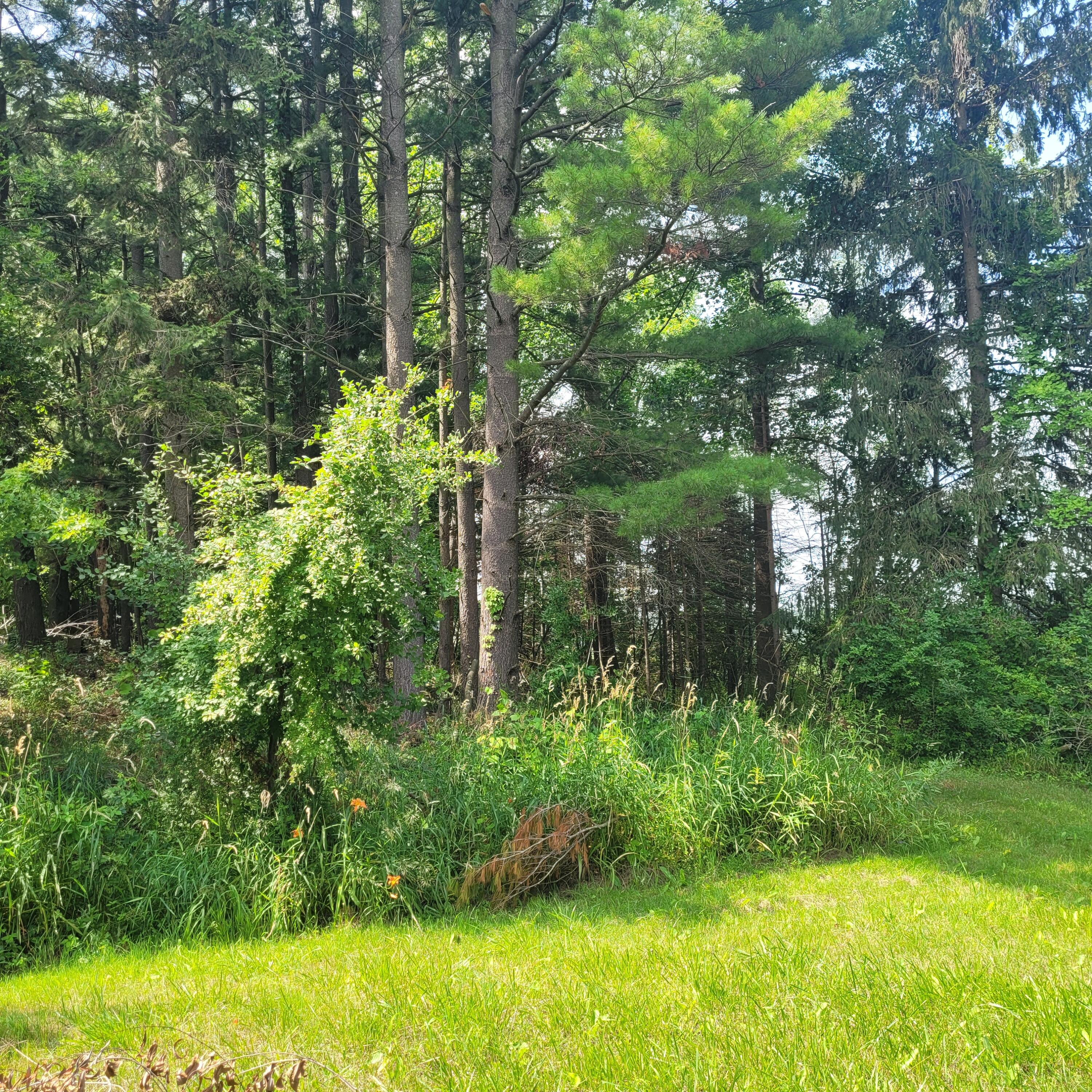 7950 Cross Road Horton, MI 49246 - Photo 3 of 14 20230717_115045