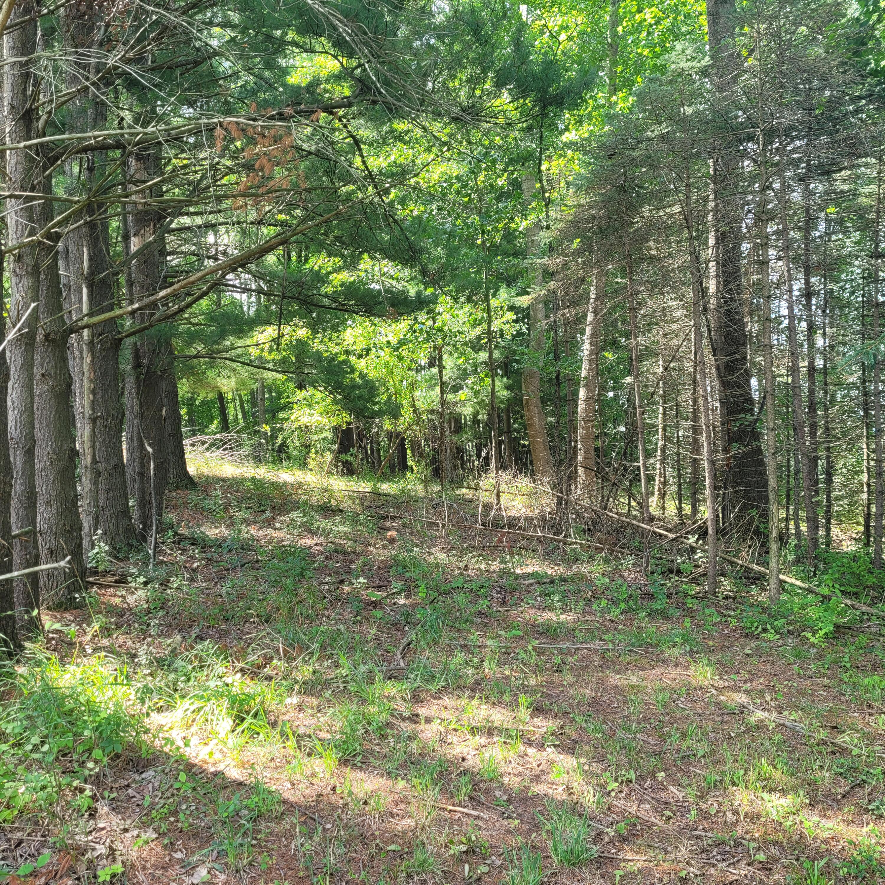 7950 Cross Road Horton, MI 49246 - Photo 4 of 14 20230717_115059