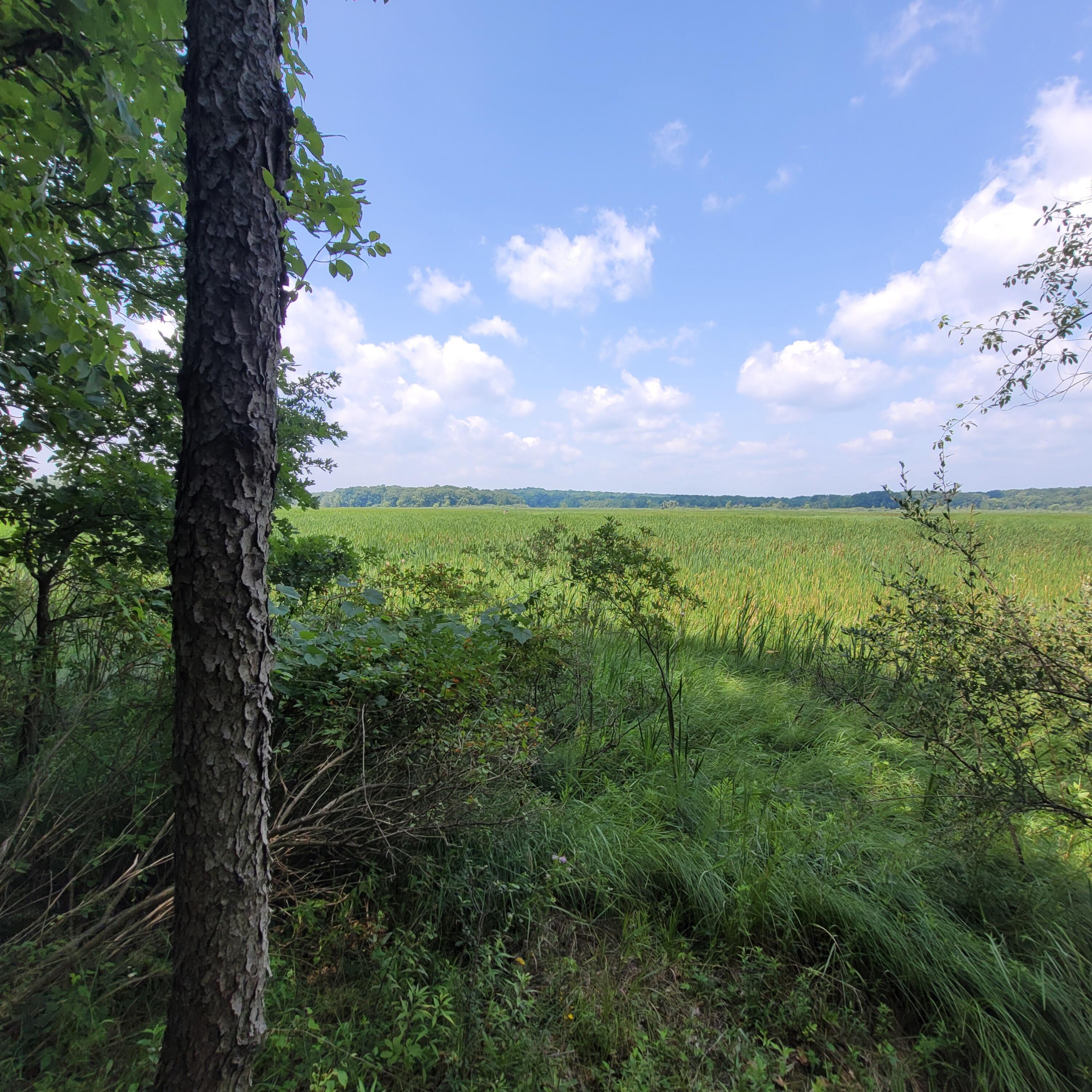 7950 Cross Road Horton, MI 49246 - Photo 6 of 14 20230717_115218