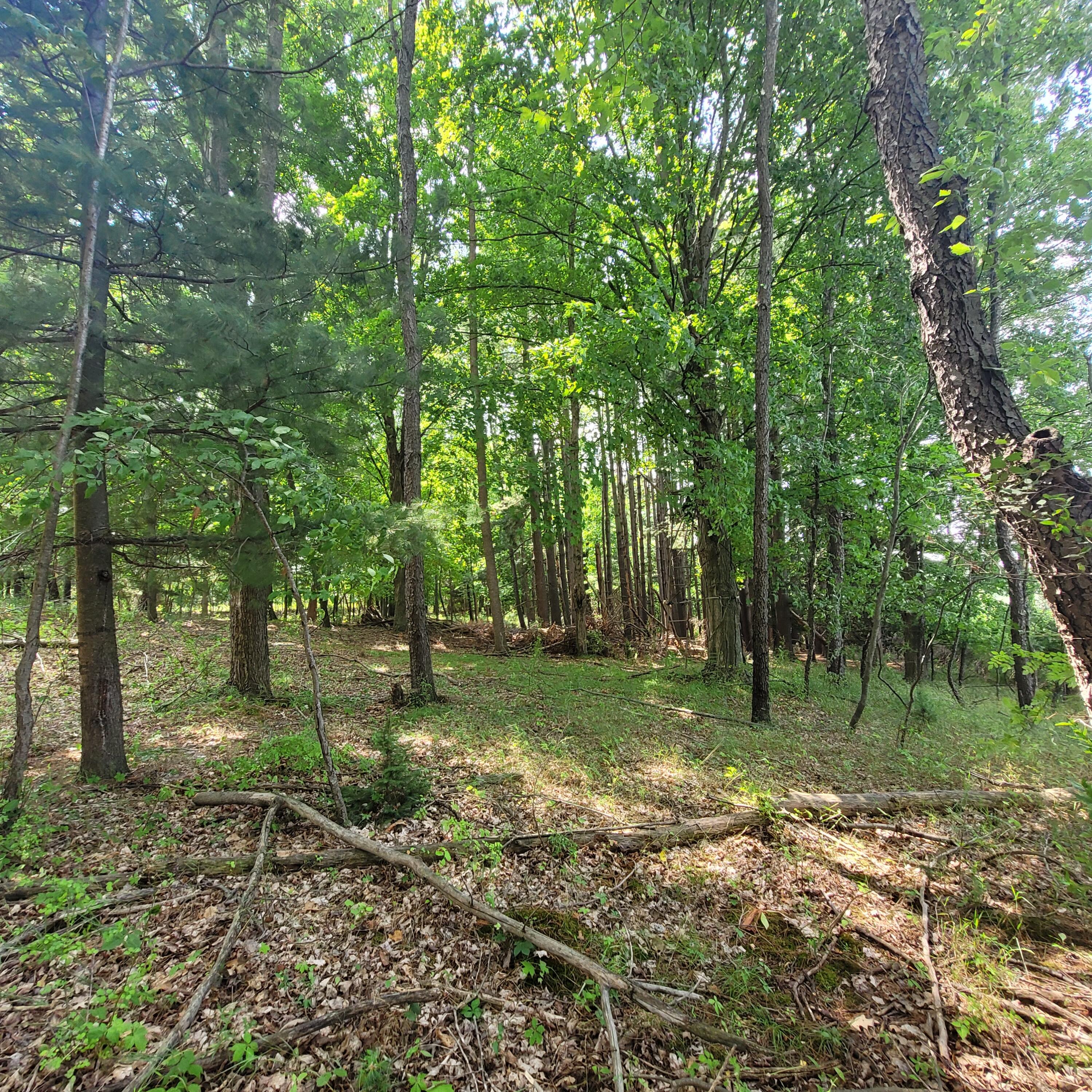 7950 Cross Road Horton, MI 49246 - Photo 8 of 14 20230717_115241