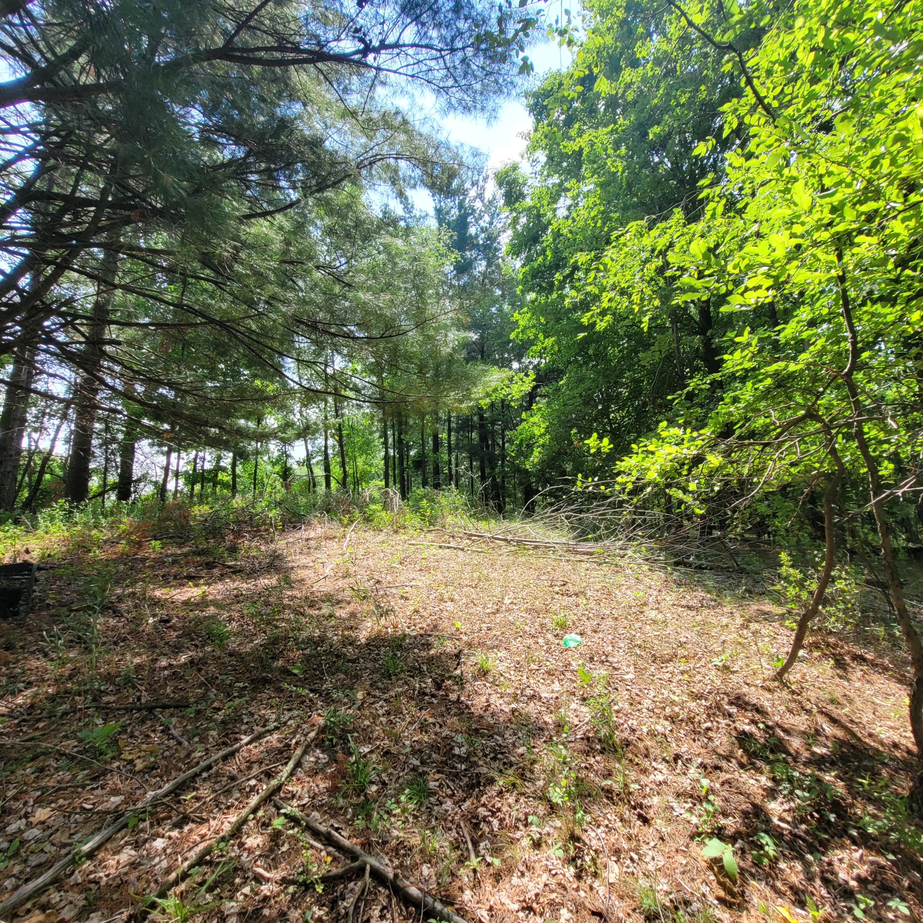 7950 Cross Road Horton, MI 49246 - Photo 9 of 14 20230717_115255
