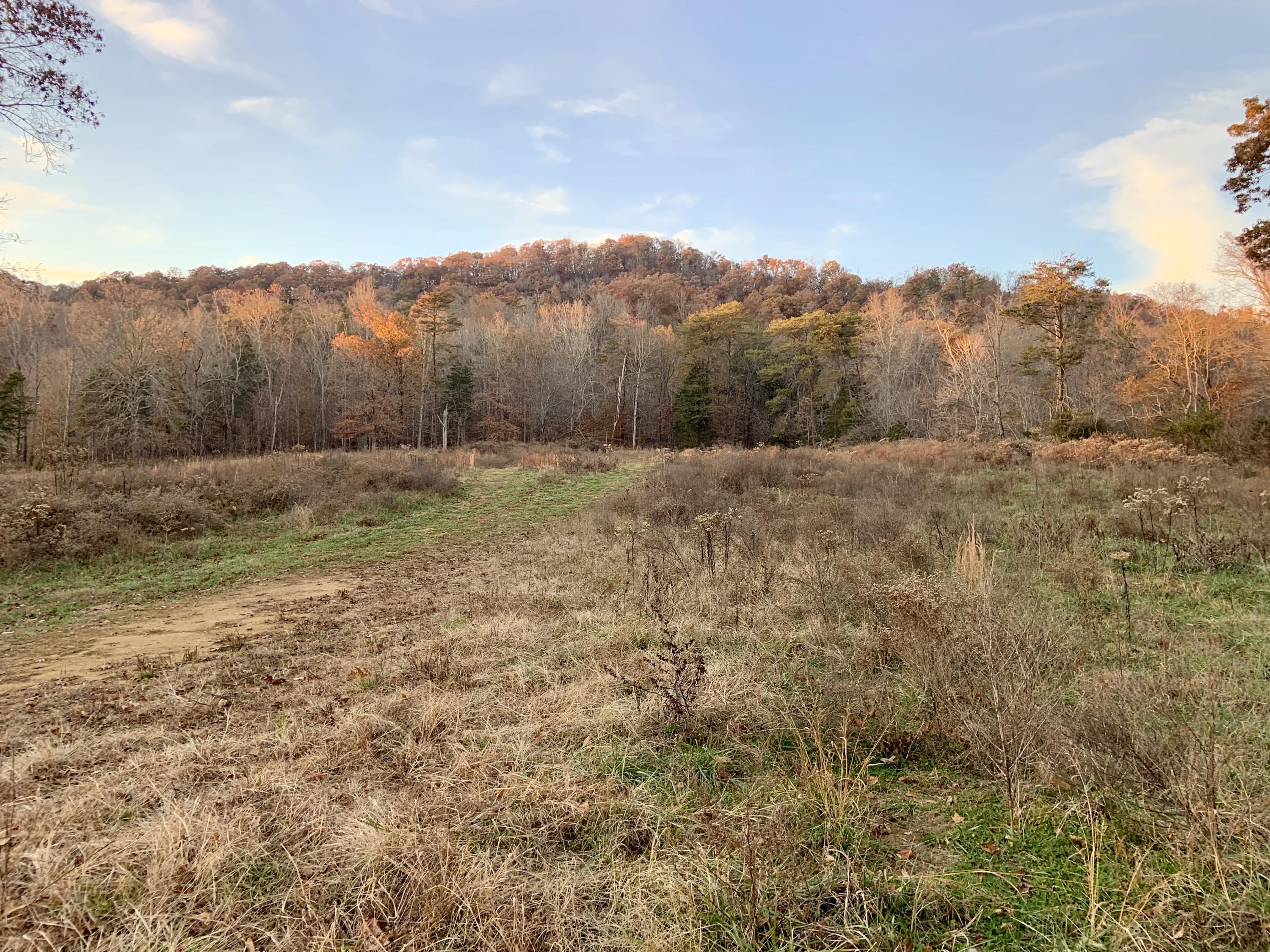 513 Bull Run Road Luttrell, TN 37779 - Photo 12 of 25 Back Field