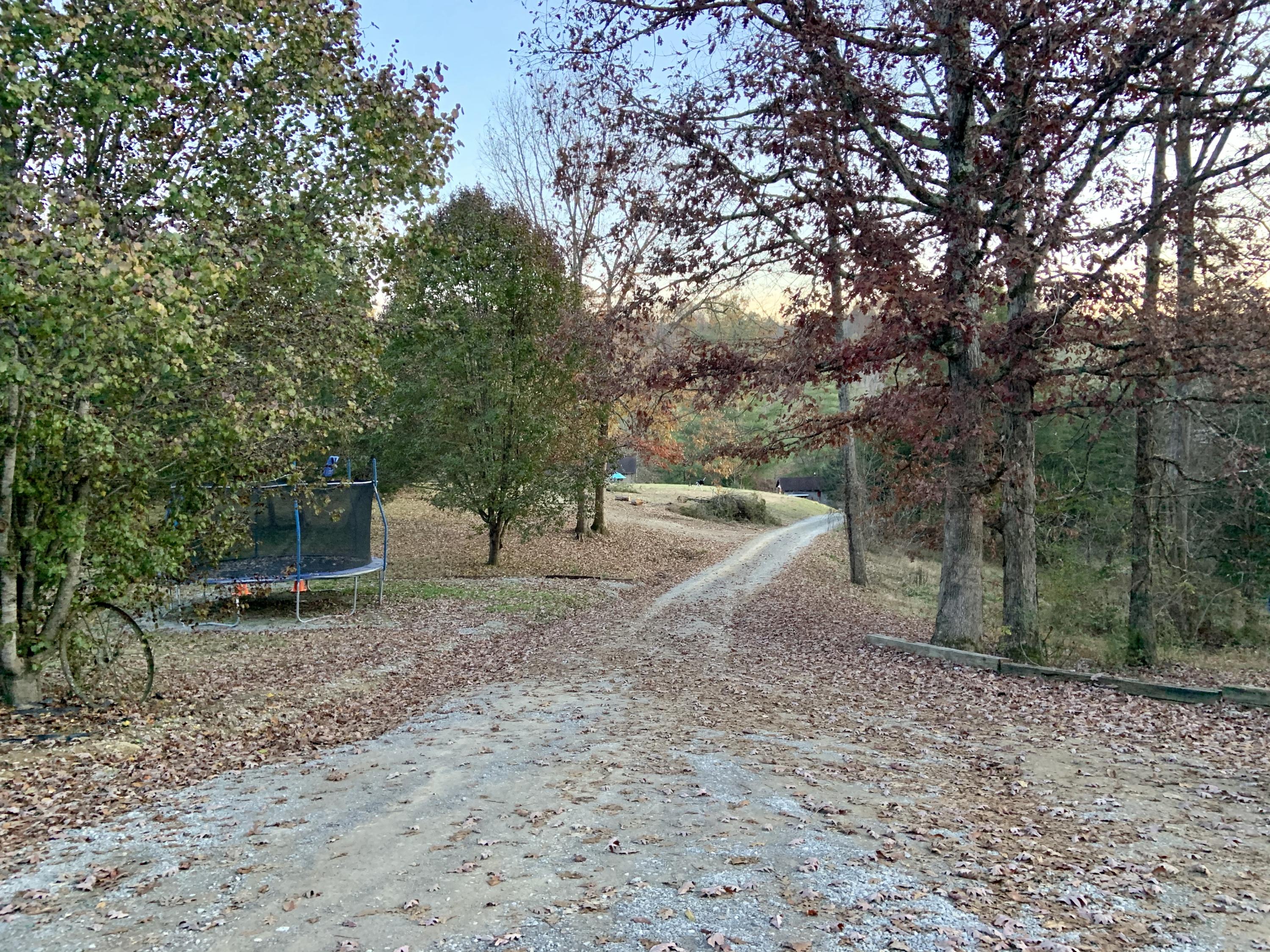 513 Bull Run Road Luttrell, TN 37779 - Photo 18 of 25 Driveway from House