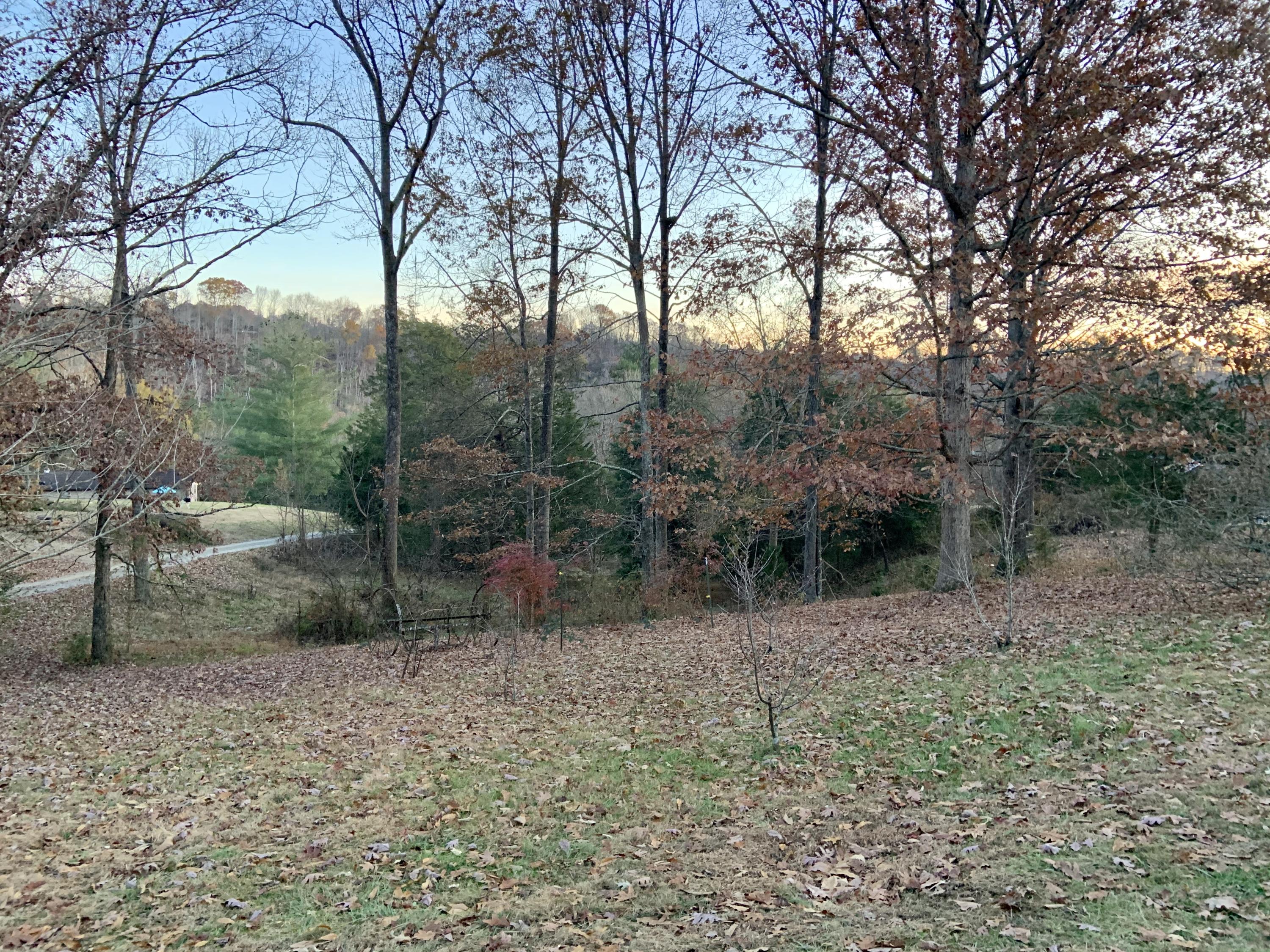 513 Bull Run Road Luttrell, TN 37779 - Photo 19 of 25 Property beside Driveway