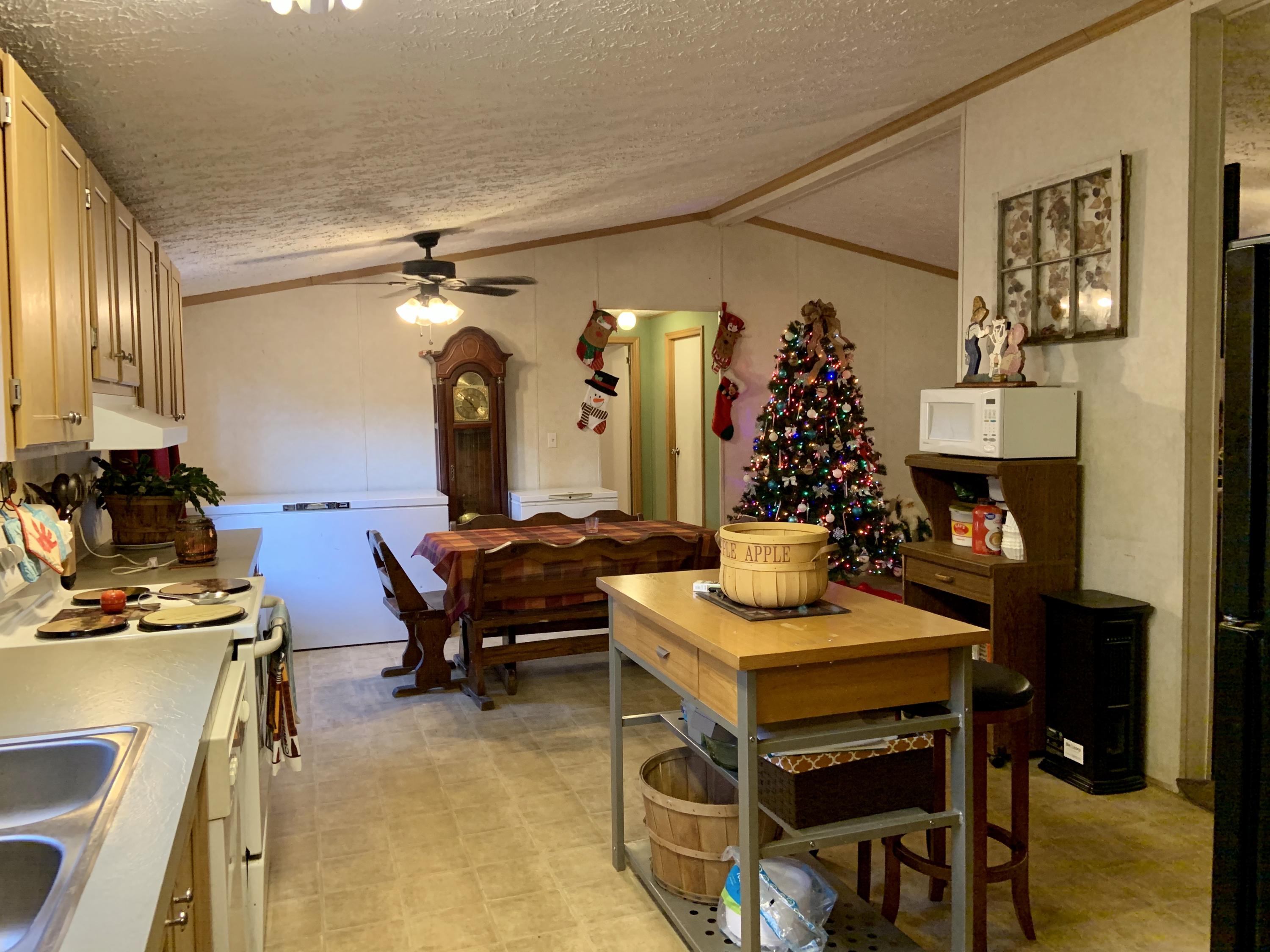 513 Bull Run Road Luttrell, TN 37779 - Photo 3 of 25 Kitchen