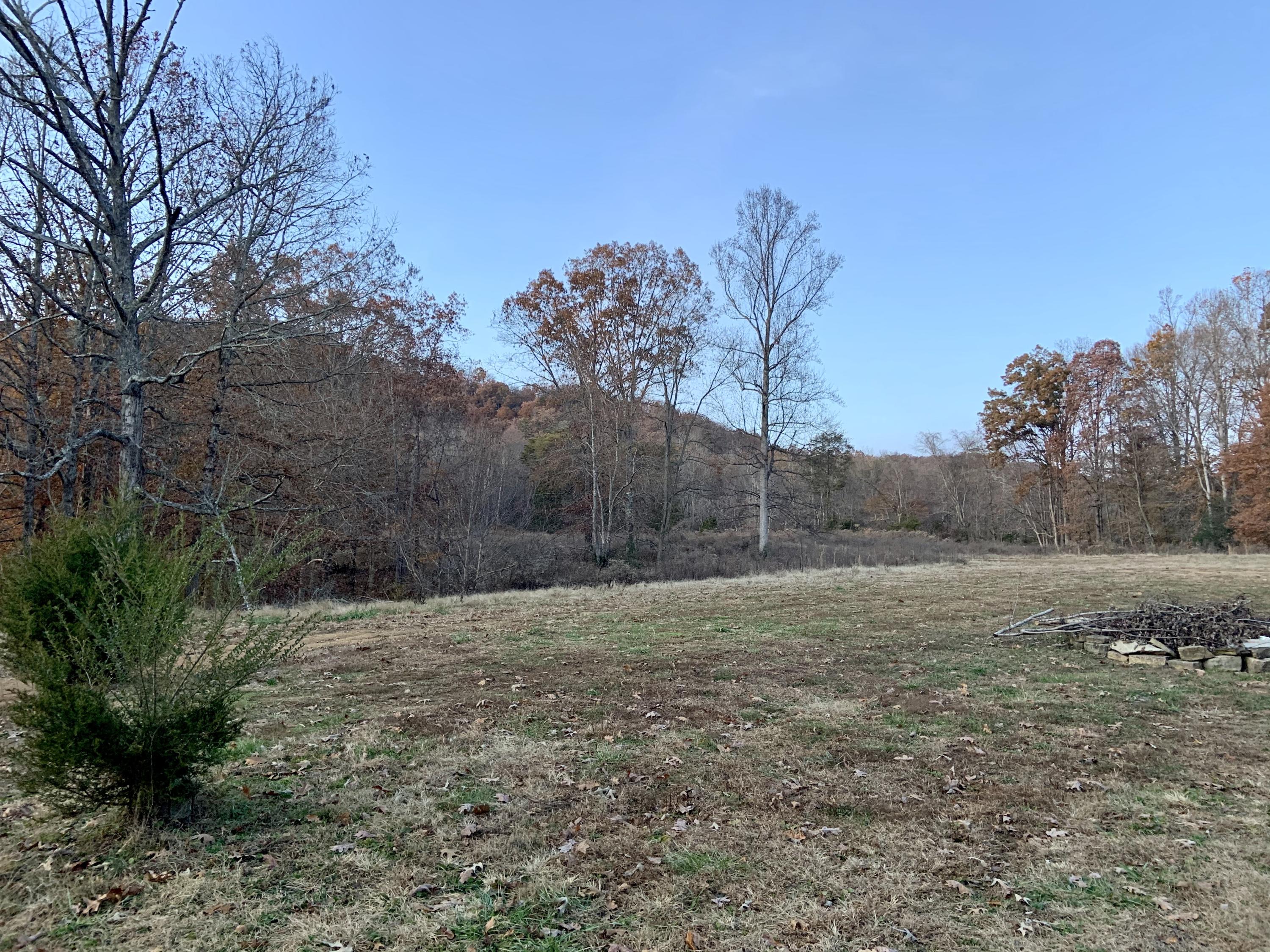513 Bull Run Road Luttrell, TN 37779 - Photo 21 of 25 Side Field
