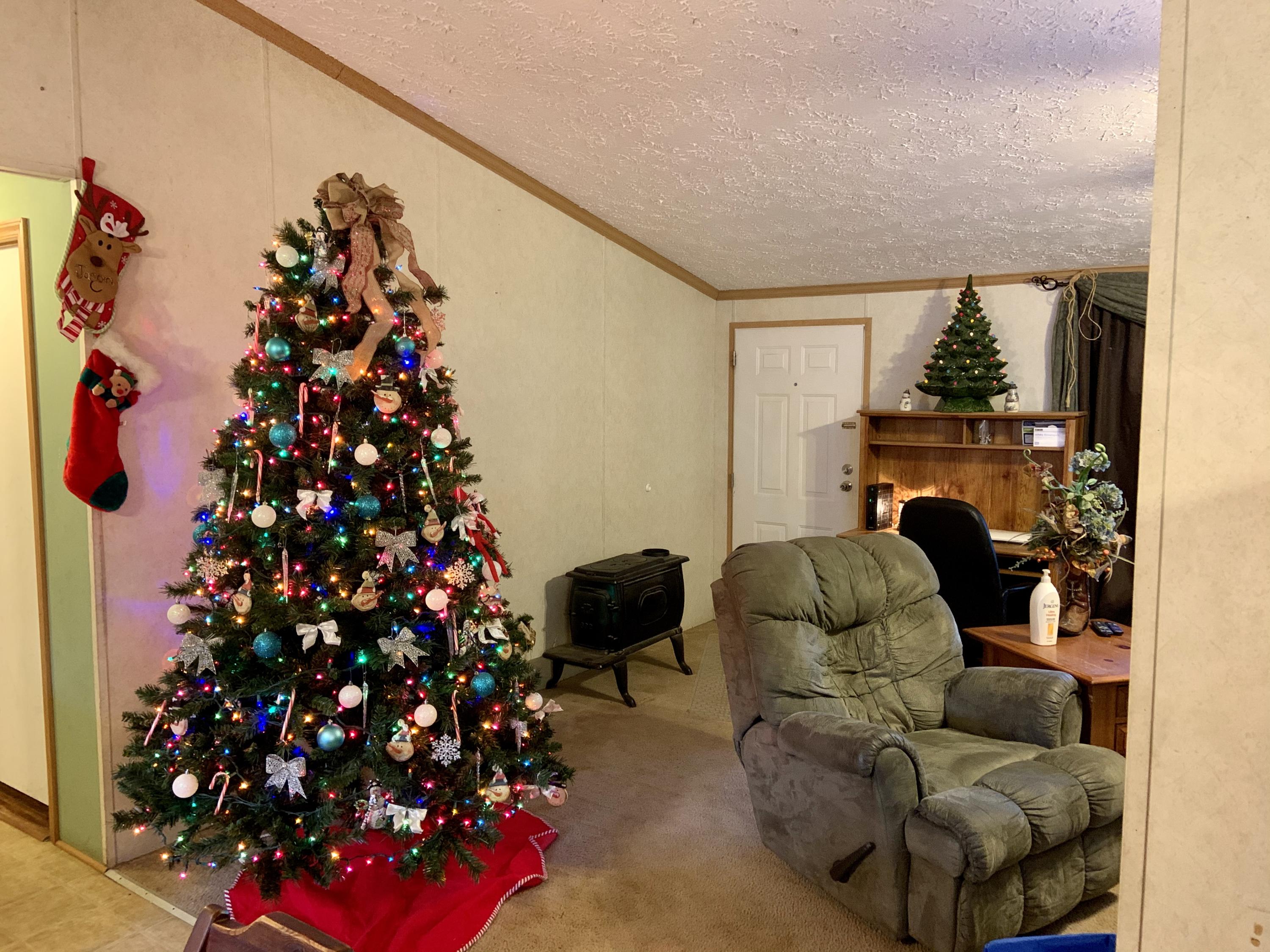 513 Bull Run Road Luttrell, TN 37779 - Photo 4 of 25 IMG_3574