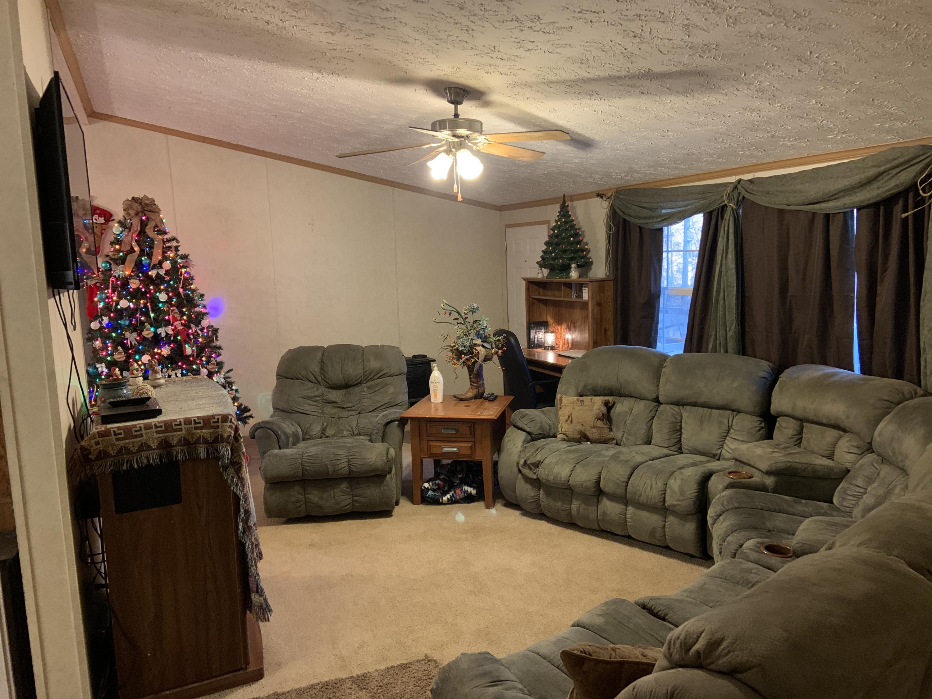 513 Bull Run Road Luttrell, TN 37779 - Photo 6 of 25 Living Room
