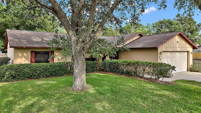 a view of a house with a yard plants and large tree