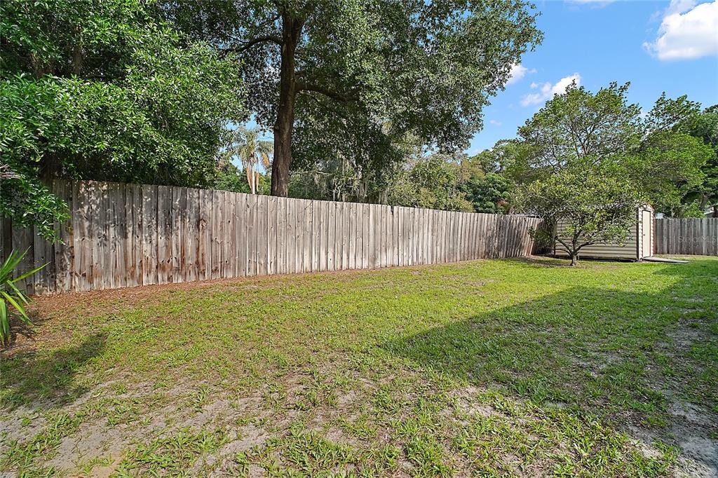 501 Cherry Tree Street Eustis, FL 32726 - Photo 29 of 35 a view of outdoor space and yard