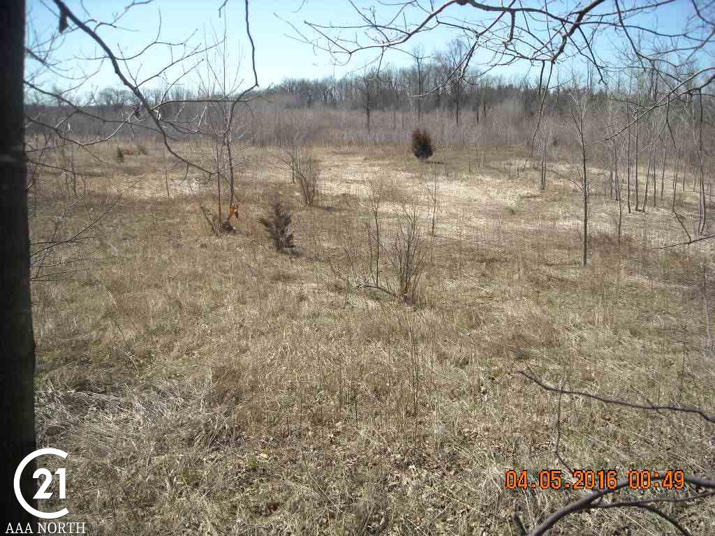 0 Leonard Road Leonard, MI 48367 - Photo 5 of 10